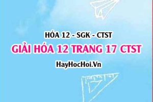 Giải Hóa 12 trang 17 Chân trời sáng tạo SGK